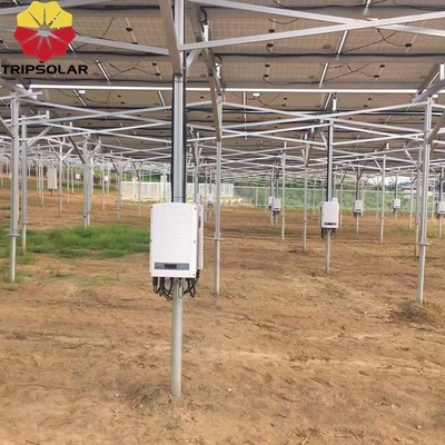 太陽光発電所用の地面固定システム ISO9001/CE 認証と25年の使用寿命